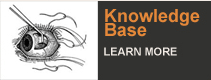 Knowledge Base Knowledge Base